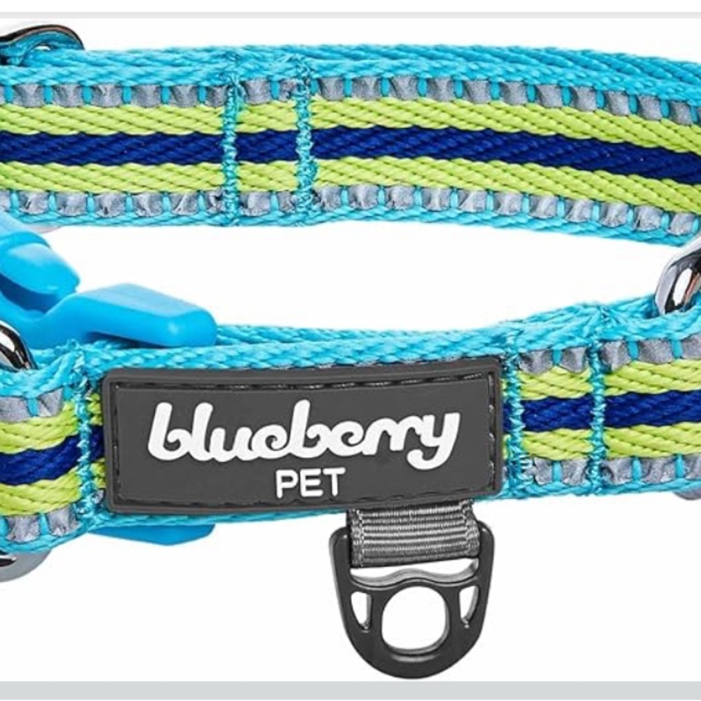 Blueberry Pet Reflective Dog Collar